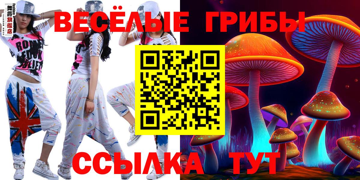 Галлюциногенные грибы GOLDEN TEACHER Моздок