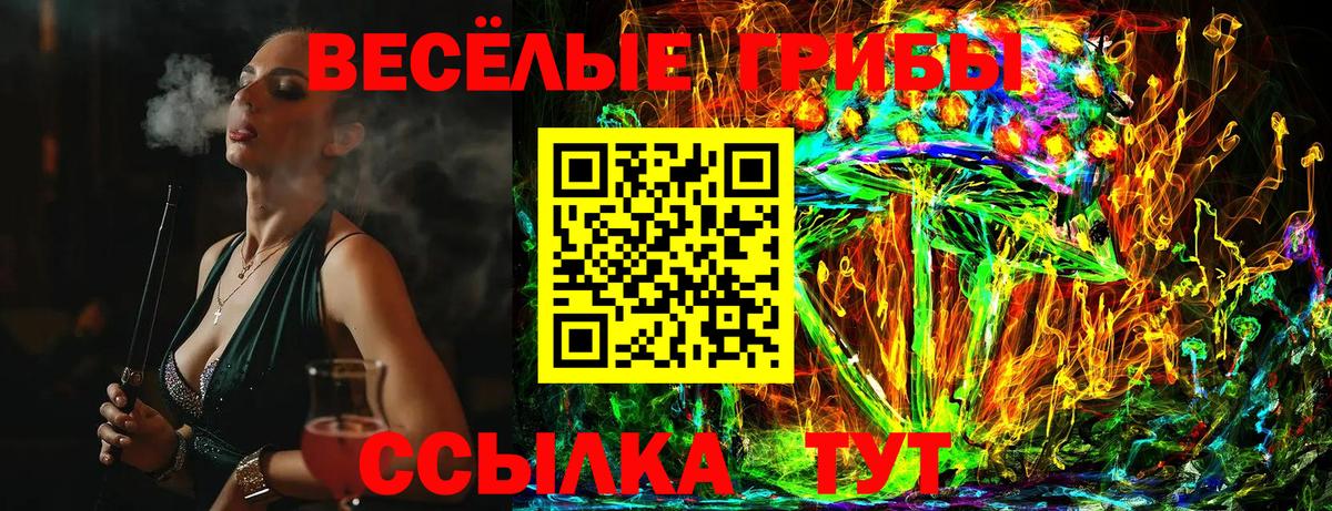 Моздок  Галлюциногенные грибы мухоморы  Вход с VPN 